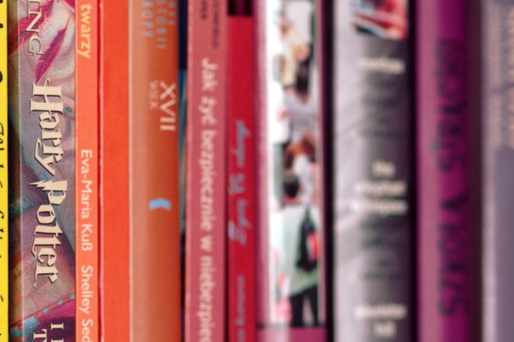 In Five Years Book A Time Slip Novel That Fantasy Fans Will Love