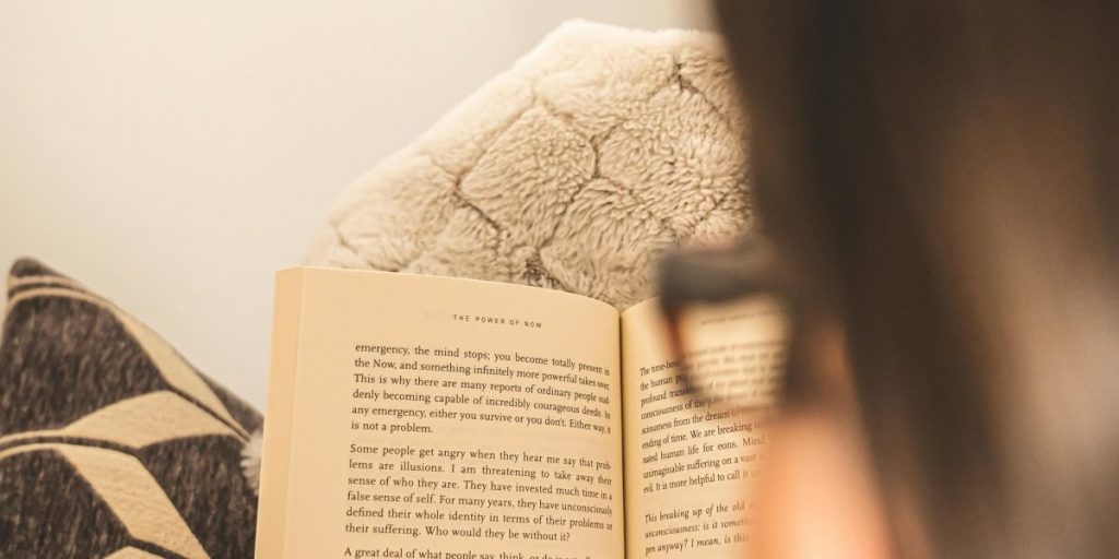 This guide introduces Kristin Hannah—her rise from a practicing lawyer to a #1 New York Times bestselling author—and walks readers through her career, signature...